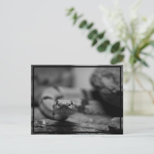 Kijk naar je! briefkaart (Staand voorkant)