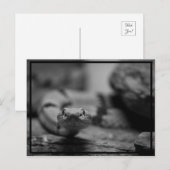 Kijk naar je! briefkaart (Voorkant / Achterkant)