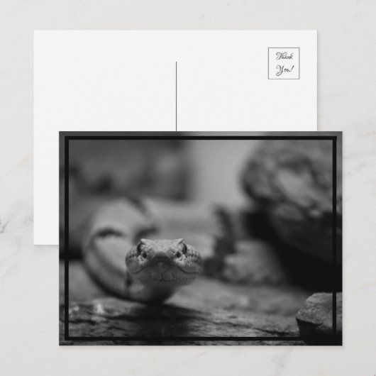 Kijk naar je! briefkaart (Voorkant / Achterkant)