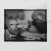 Kijk naar je! briefkaart (Voorkant)