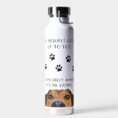 Kijk naar je grappige hond waterfles (Links)