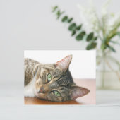 Kijk naar je kat briefkaart (Staand voorkant)