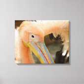 Kijk naar je Pelican Canvas druk (Voorkant)