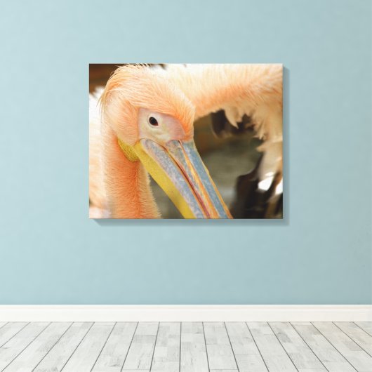 Kijk naar je Pelican Canvas druk Afdruk (Insitu (Houten vloer))