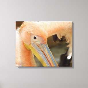 Kijk naar je Pelican Canvas druk Afdruk