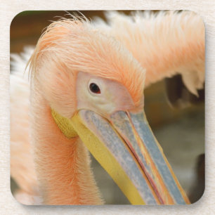 Kijk naar je Pelican Cork Onderzetter