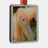 Kijk naar je Pelican Ornament (Rechts)