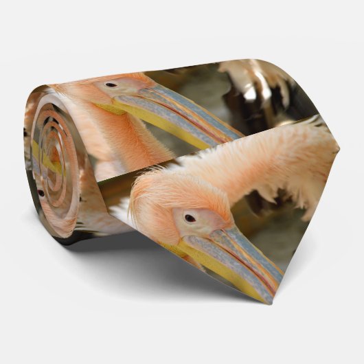 Kijk naar je Pelican Stropdas (Opgerold)