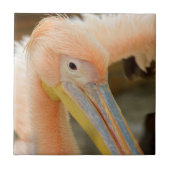 Kijk naar je Pelican Tile Tegeltje (Voorkant)