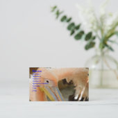 Kijk naar je Pelican Visitekaartje (Staand voorkant)