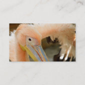 Kijk naar je Pelican Visitekaartje (Achterkant)