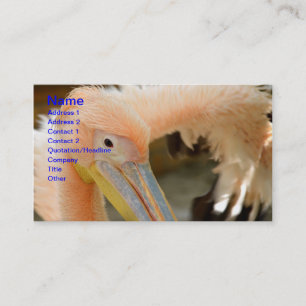 Kijk naar je Pelican Visitekaartje