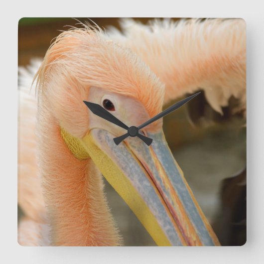 Kijk naar je Pelican Wall klok (Voorkant)