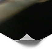 Kijk naar je [Sandhill Crane] Poster (Hoek)