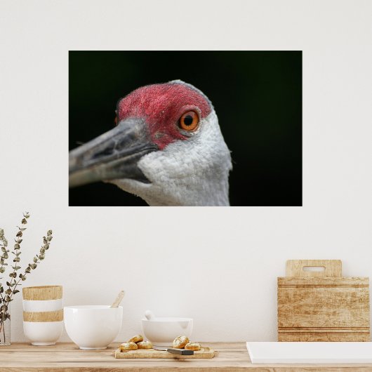Kijk naar je [Sandhill Crane] Poster (Keuken)