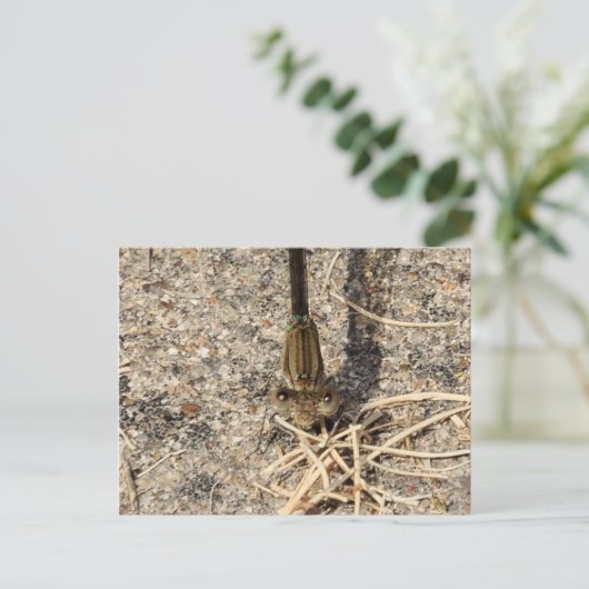 Kijk naar jou briefkaart (Staand voorkant)