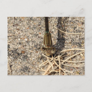 Kijk naar jou briefkaart