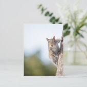 Kijk naar jou! Briefkaart eekhoorn (Staand voorkant)