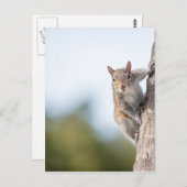 Kijk naar jou! Briefkaart eekhoorn (Voorkant / Achterkant)