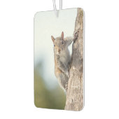 Kijk naar jou! Squirrel Air Freshener Luchtverfrisser (Links)