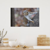"Kijk naar me" Juvenile Squirrel Print Poster (Keuken)