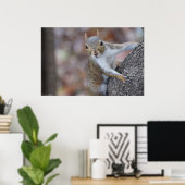 "Kijk naar me" Juvenile Squirrel Print Poster (Thuiskantoor)