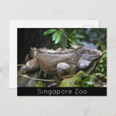 Kijk naar me Lizard Singapore Zoo Feestdagenkaart (Voorkant / Achterkant)