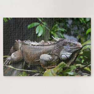Kijk naar me Lizard Singapore Zoo Legpuzzel