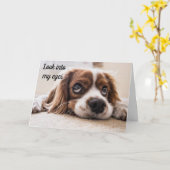 *KIJK NAAR MIJN OGEN* BIRTHDAY WIL NAAR "U" KAART (Gele Bloem)