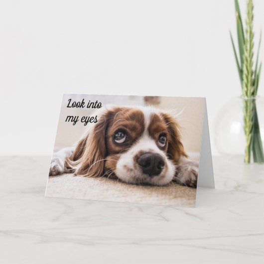 *KIJK NAAR MIJN OGEN* BIRTHDAY WIL NAAR "U" KAART (Voorkant)