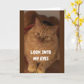 KIJK NAAR MIJN OGEN: "GELUKKIG VOOR JE" KAART (Gele Bloem)