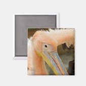 Kijk naar Pelican Magnet (Voorkant / Achterkant)