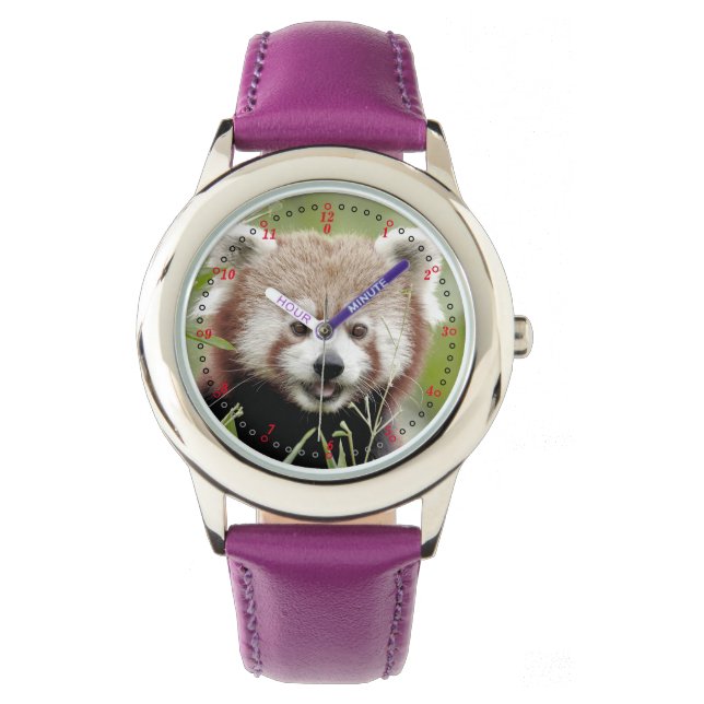 Kijk naar rode panda. Panda roux. Horloge (Voorkant)