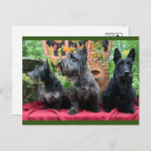 Kijk niet naar de Kaart (Voorkant / Achterkant)