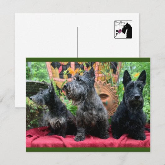 Kijk niet naar de Kaart (Voorkant / Achterkant)