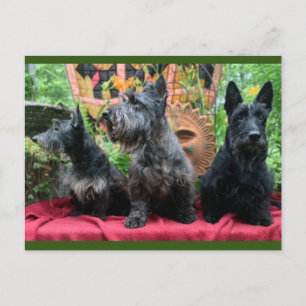 Kijk niet naar de Kaart