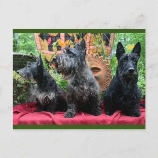 Kijk niet naar de Kaart (Voorkant)