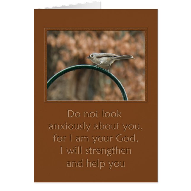 kijk niet ongerust over je vogel op de boog (Voorkant)