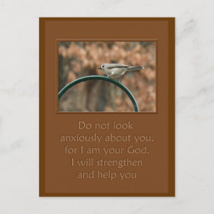 kijk niet ongerust over je vogel op de boog briefkaart