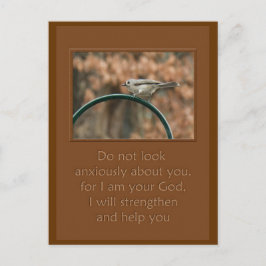 kijk niet ongerust over je vogel op de boog briefkaart