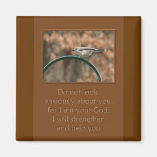 kijk niet ongerust over je vogel op de boog magneet