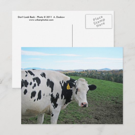 Kijk niet terug briefkaart (Voorkant / Achterkant)