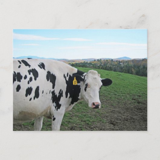 Kijk niet terug briefkaart (Voorkant)