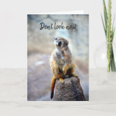 Kijk nu niet meer - vogelkaart kaart (Voorkant)