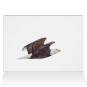 Kijk omhoog, Bald Eagle (Binnen Horizontaal (Boven))