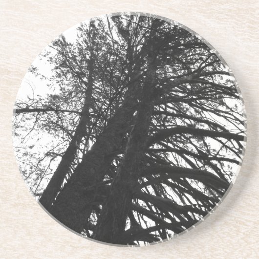 Kijk omhoog in de bomen zandsteen onderzetter (Voorkant)