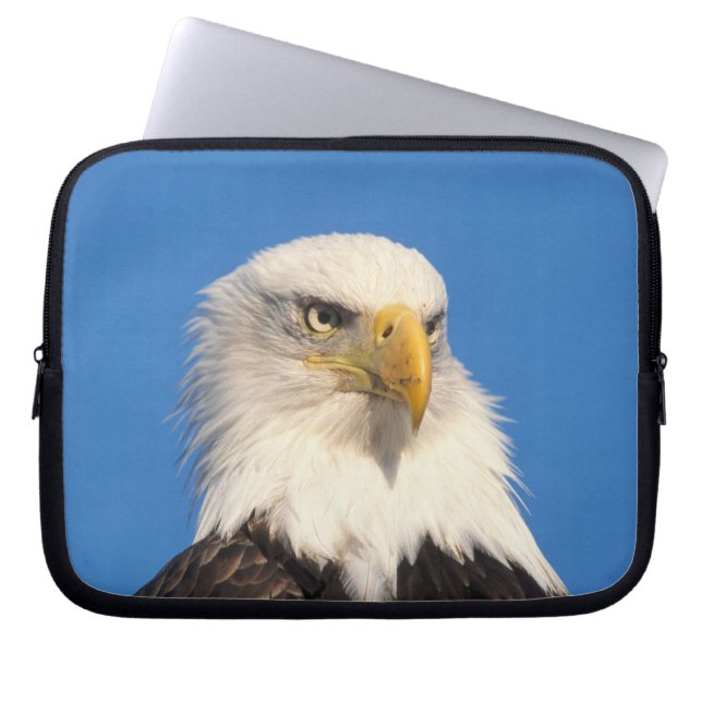 Kijk op Amerikaanse zeearend Laptop Sleeve (Voorkant)