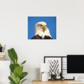 Kijk op Amerikaanse zeearend Poster (Thuiskantoor)