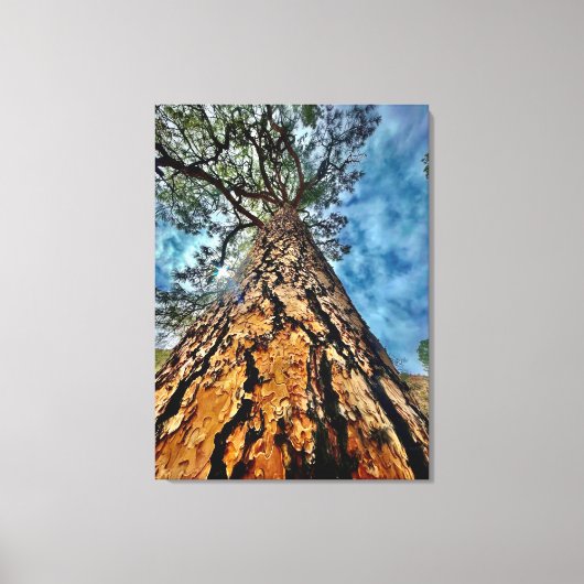 Kijk op! canvas afdruk (Voorkant)