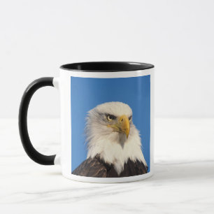 Kijk op de Amerikaanse zeearend Mok